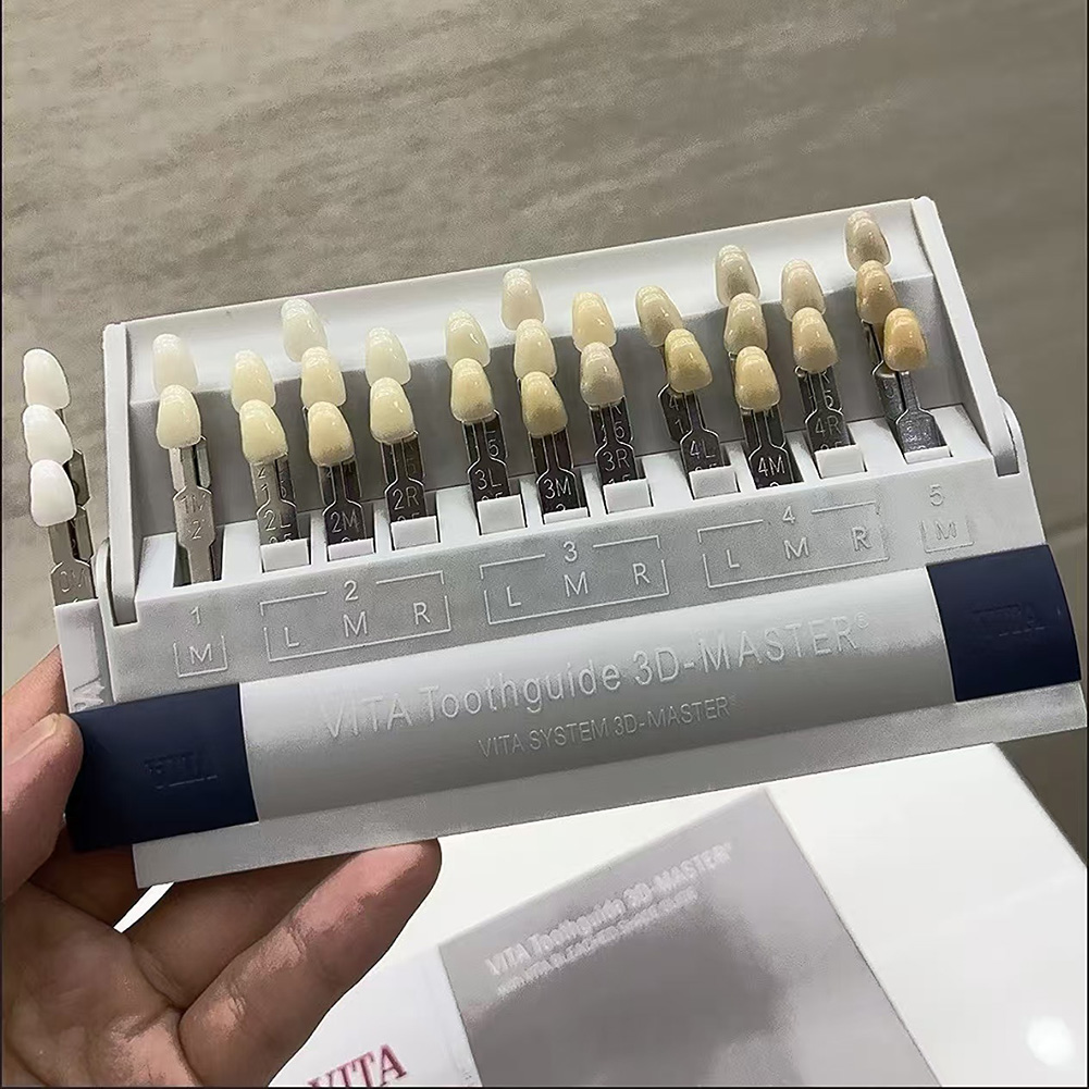 VITA 3D Toothguide Dental Blea - Teeth Whitening Shade Guide 评论和价格