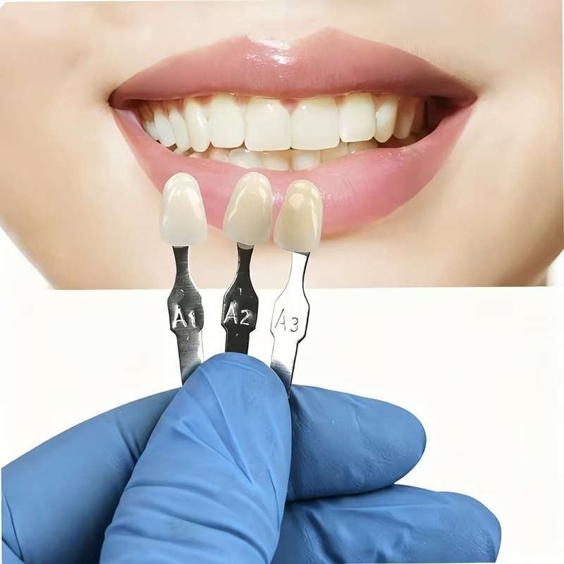 VITA 16 Colors Teeth Shade Gui - Teeth Whitening Shade Guide 评论和价格