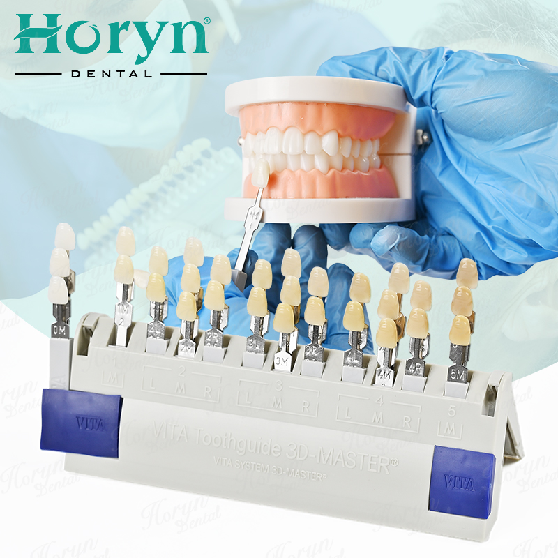 Vita 3D Master Dental Lab Blea - Teeth Whitening Shade Guide 评论和价格